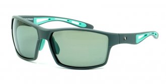 DY 148 Gris cat3